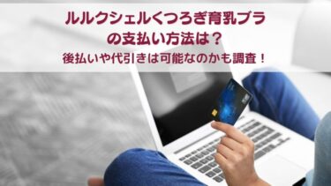 ルルクシェルくつろぎ育乳ブラの支払い方法は？後払いや代引きは可能なのかも調査！